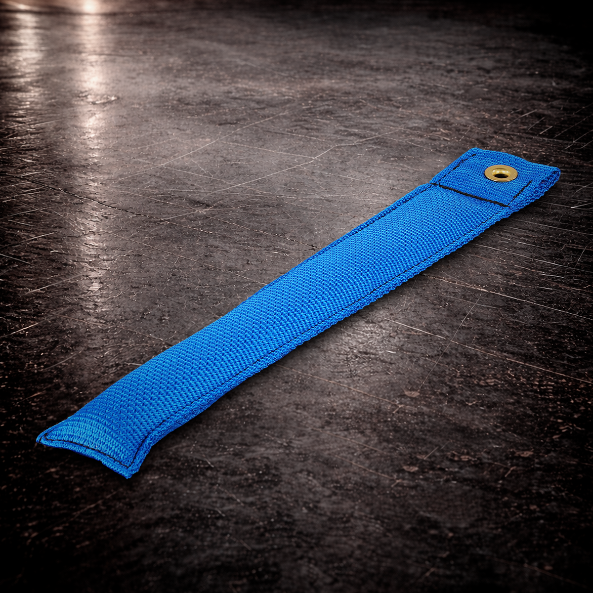 blue 12 inch set marker
blue fabric marker with grommet
12 inch stage marker blue
grip marker blue
blue floor position marker